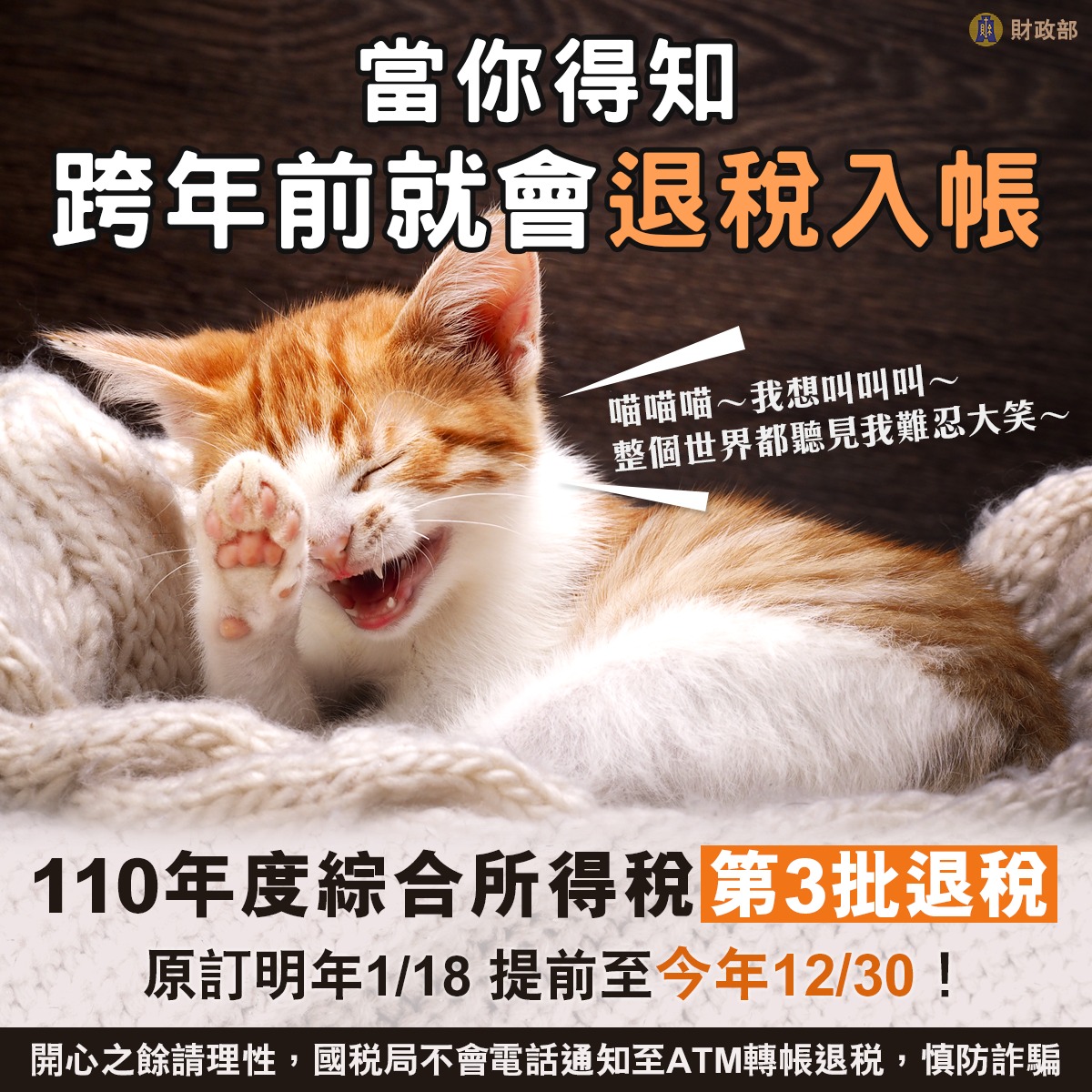 110年度第三批綜所稅提前退稅圖卡