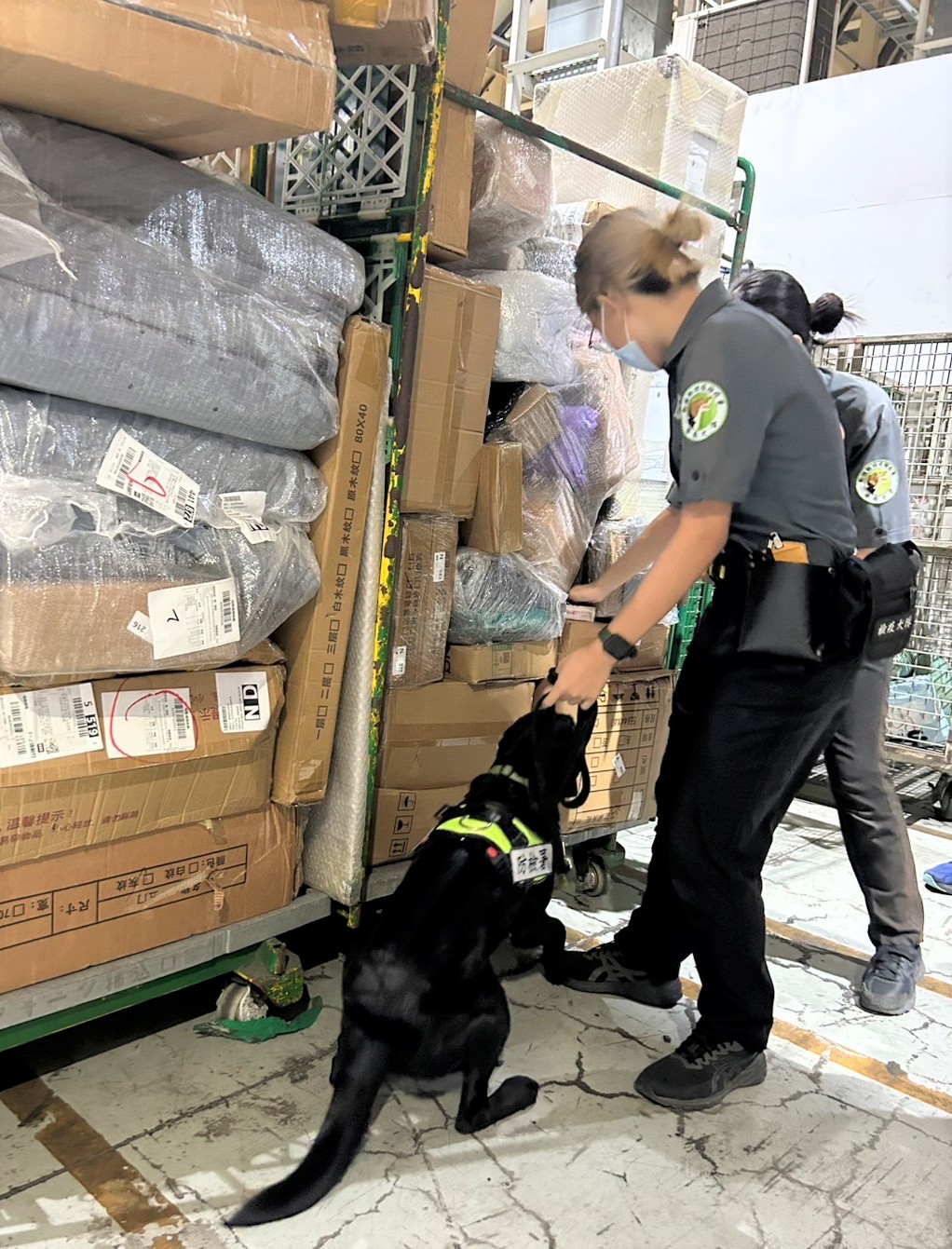 檢疫犬嗅聞查核