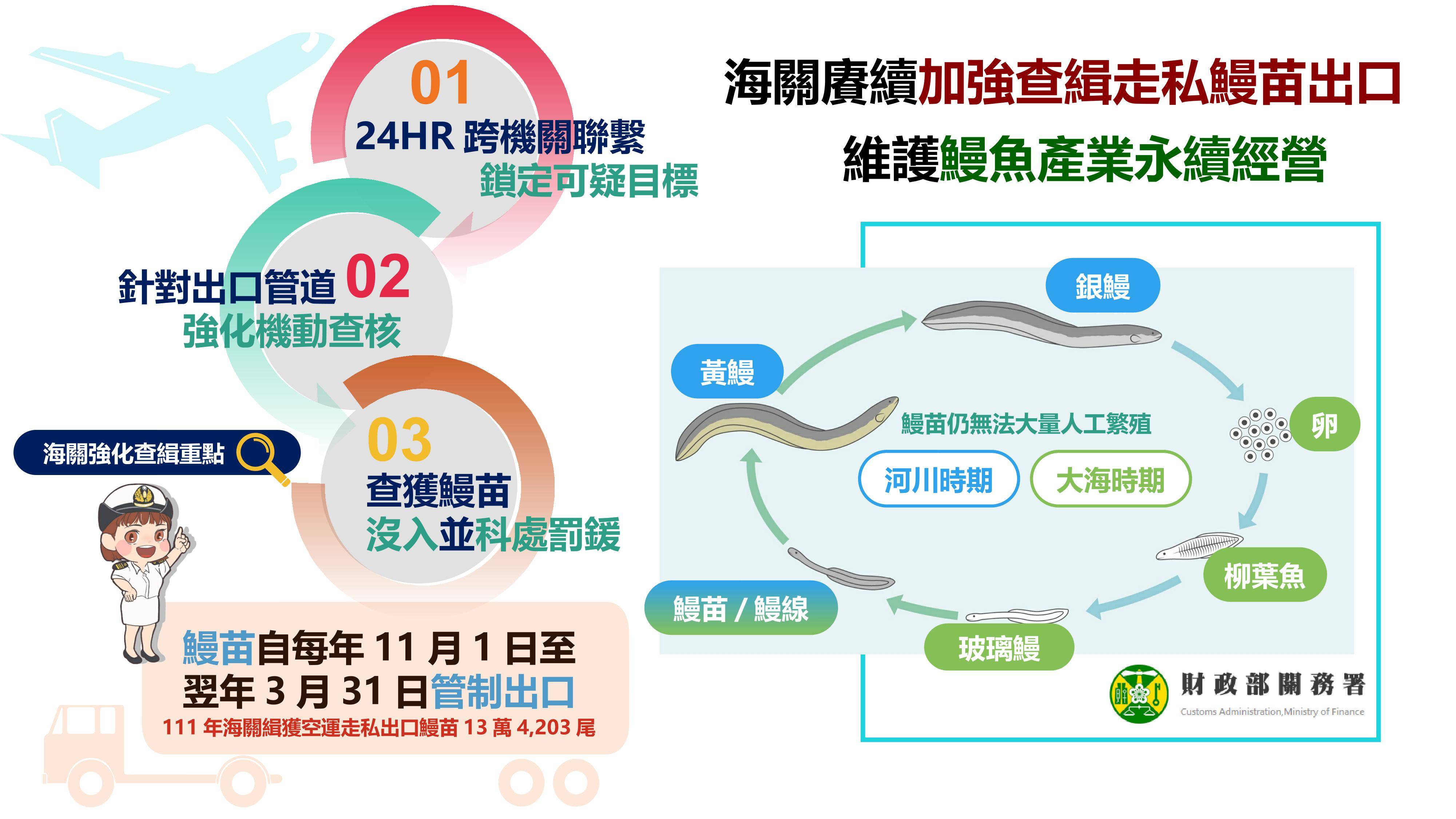 海關賡續加強查緝走私鰻苗出口，維護鰻魚產業永續經營